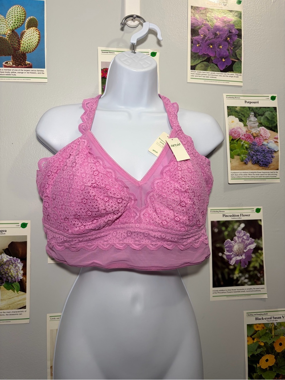 aerie Pink Lace Halter Bralette